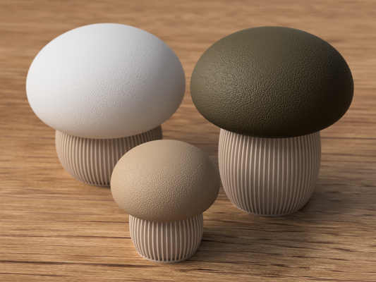 🍄Mushroom Storage Container