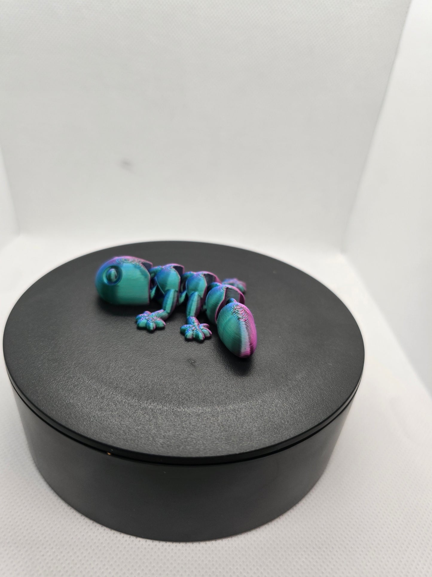 Articulated Lizard