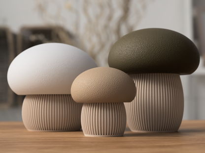 🍄Mushroom Storage Container