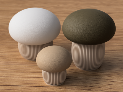 🍄Mushroom Storage Container