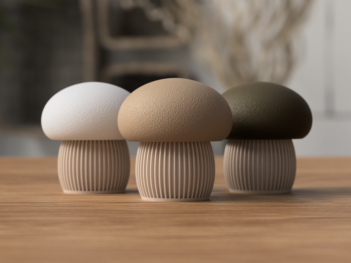 🍄Mushroom Storage Container