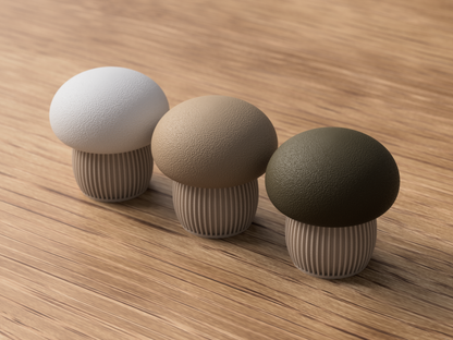 🍄Mushroom Storage Container