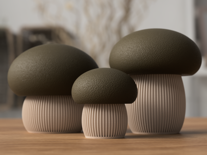 🍄Mushroom Storage Container