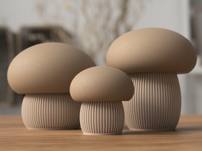 🍄Mushroom Storage Container