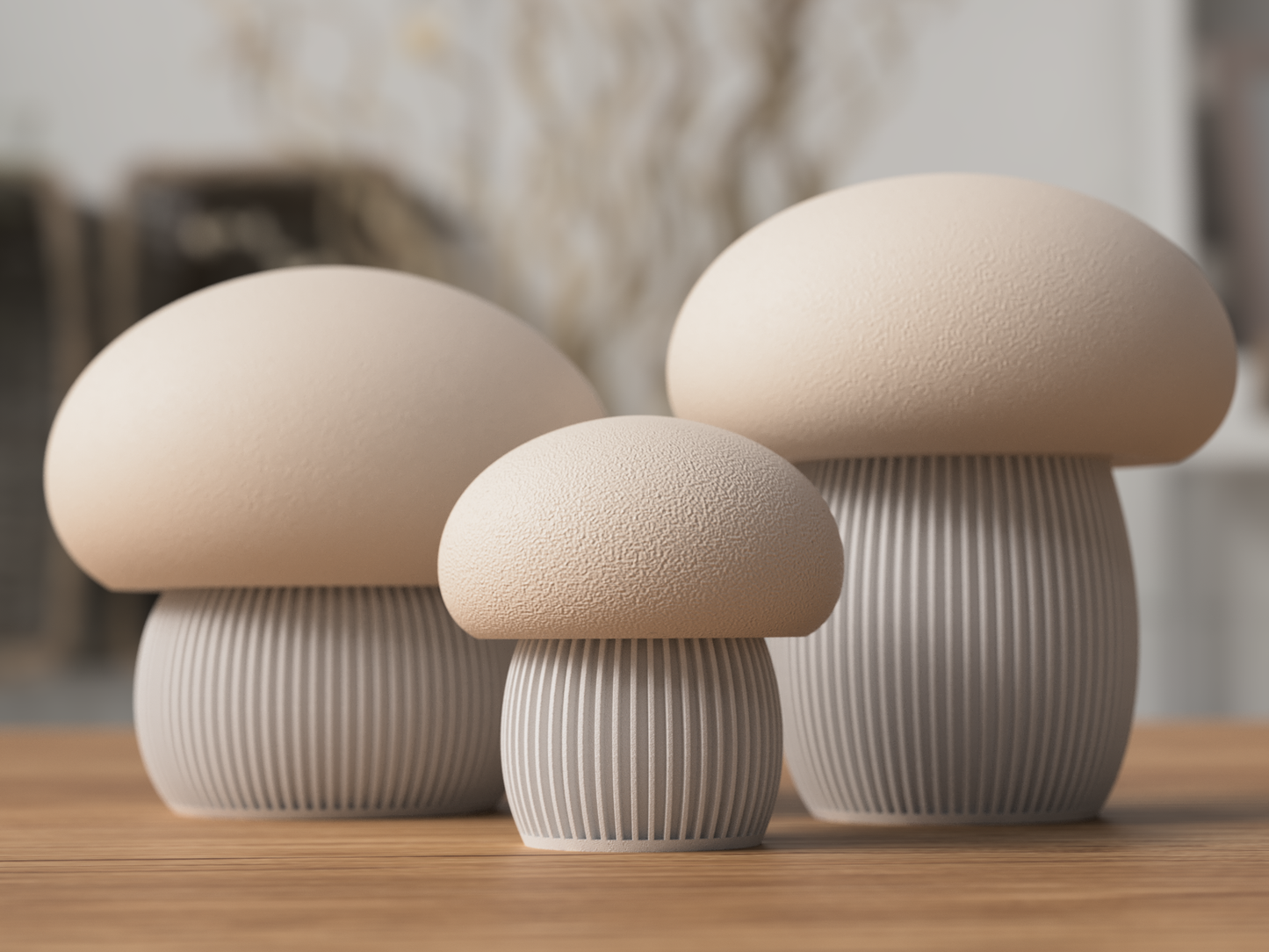 🍄Mushroom Storage Container