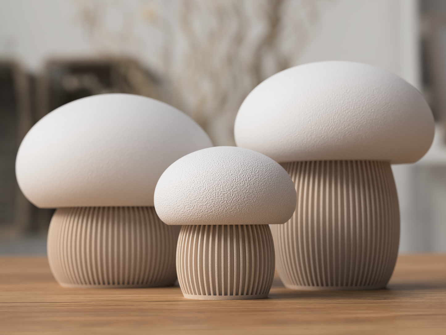 🍄Mushroom Storage Container